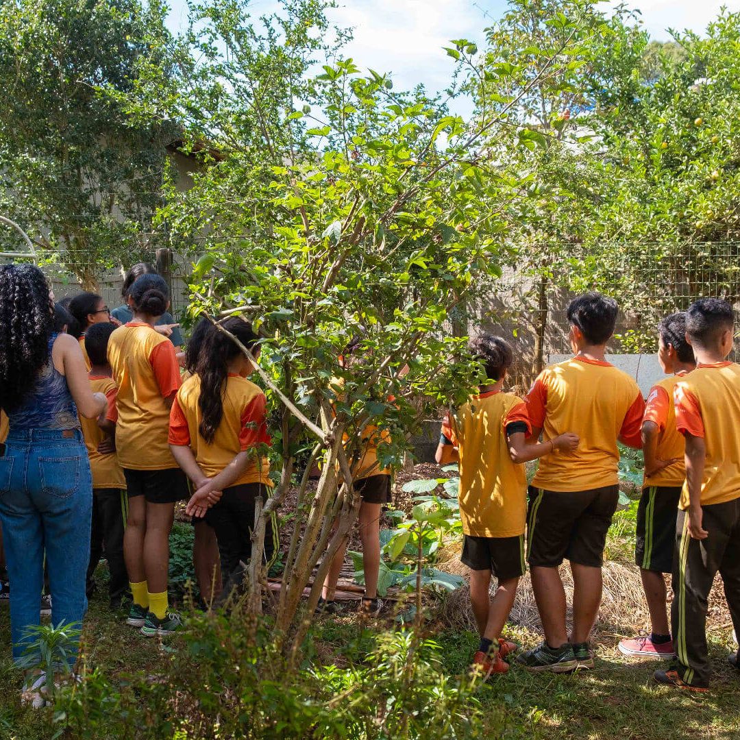 atividades educativas 02